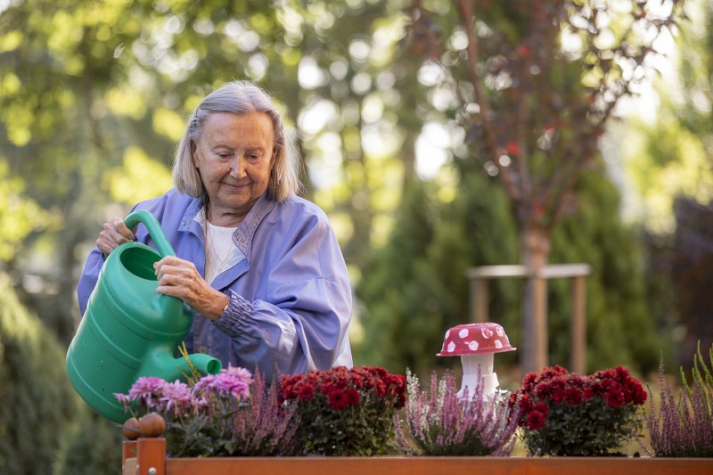 Snížená soběstačnost ve stáří nemusí být překážkou k důstojnému životu